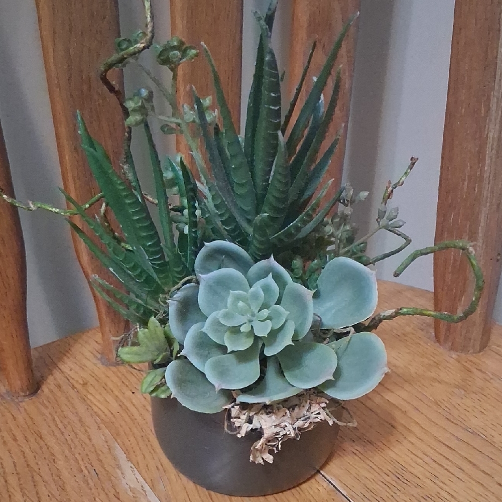 Artificial  Succulent Garden